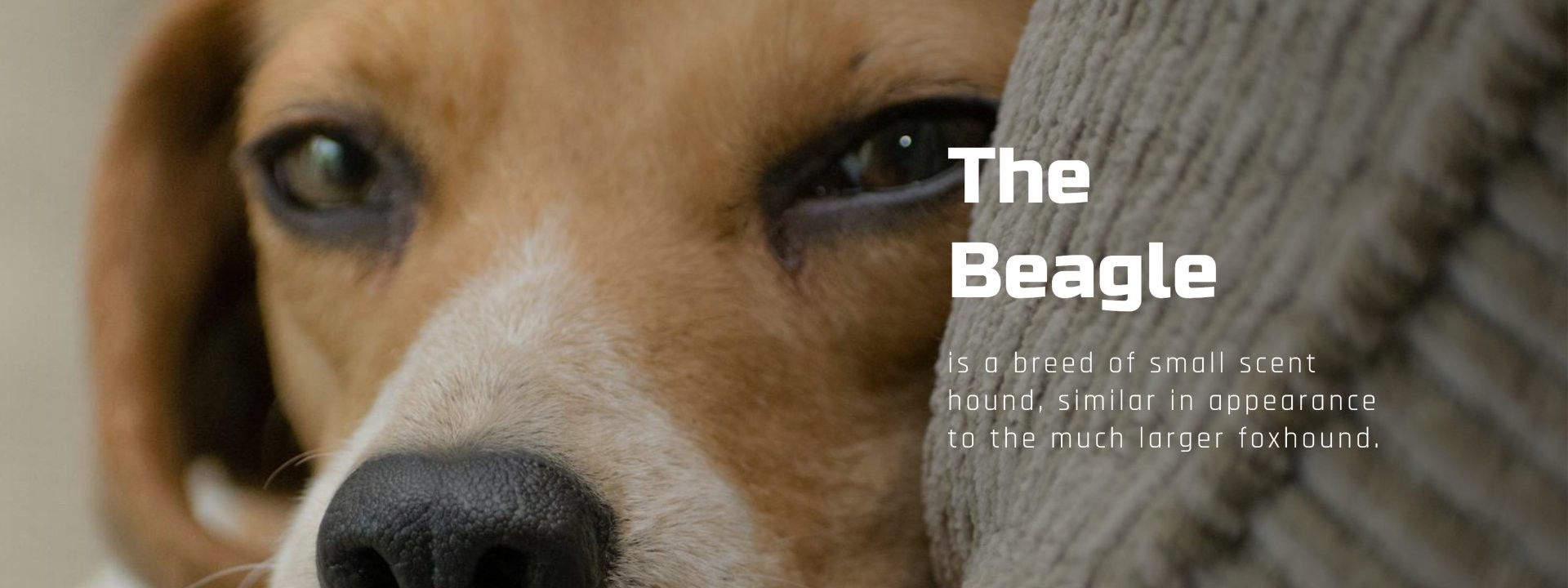 jakość Wyroby ze stali lekkiego rozmiaru Fabryka